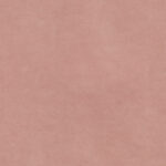 Aquaclean® Bellagio 503