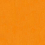Aquaclean® Nordic 118