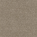 Aquaclean® Jade 248