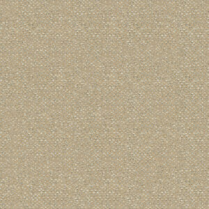 Aquaclean® Olimpia 102