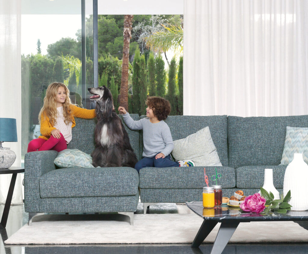 Тканини Pet Friendly: як вибрати м’які меблі, якщо у вас є домашні тварини