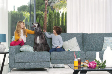 Тканини Pet Friendly: як вибрати м’які меблі, якщо у вас є домашні тварини