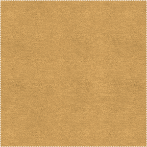 Aquaclean® Duetto 100