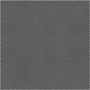 Aquaclean® Duetto 313