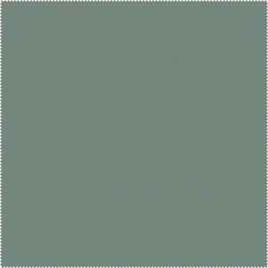 Aquaclean® Carabu 155